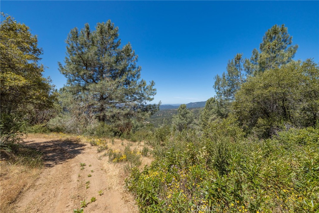 149 Acres Old Yosemite Rd, Oakhurst, CA 93644