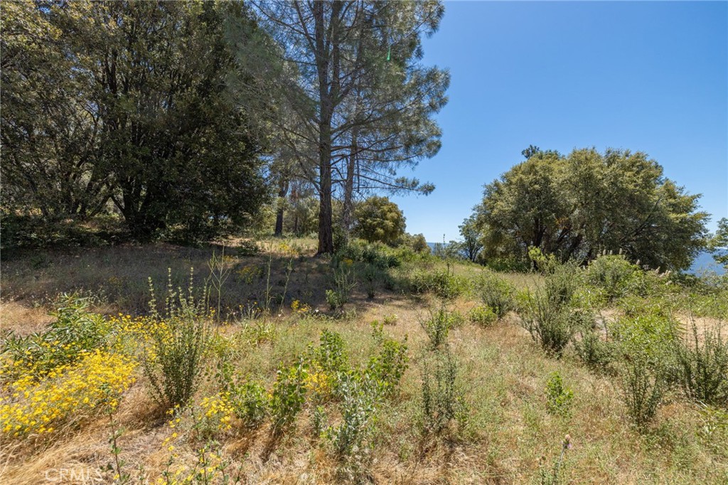 149 Acres Old Yosemite Rd, Oakhurst, CA 93644