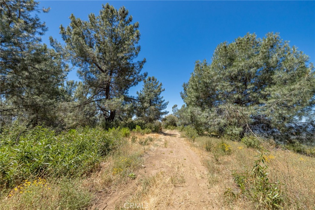149 Acres Old Yosemite Rd, Oakhurst, CA 93644