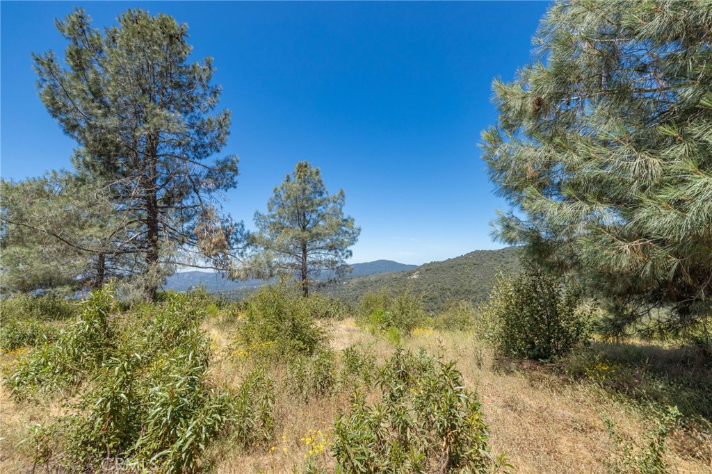 149 Acres Old Yosemite Rd, Oakhurst, CA 93644