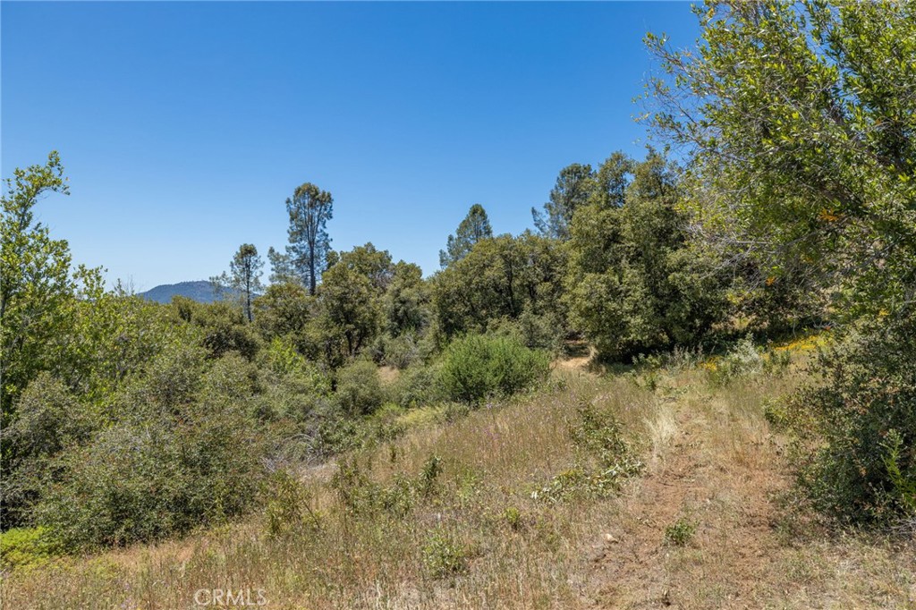 149 Acres Old Yosemite Rd, Oakhurst, CA 93644