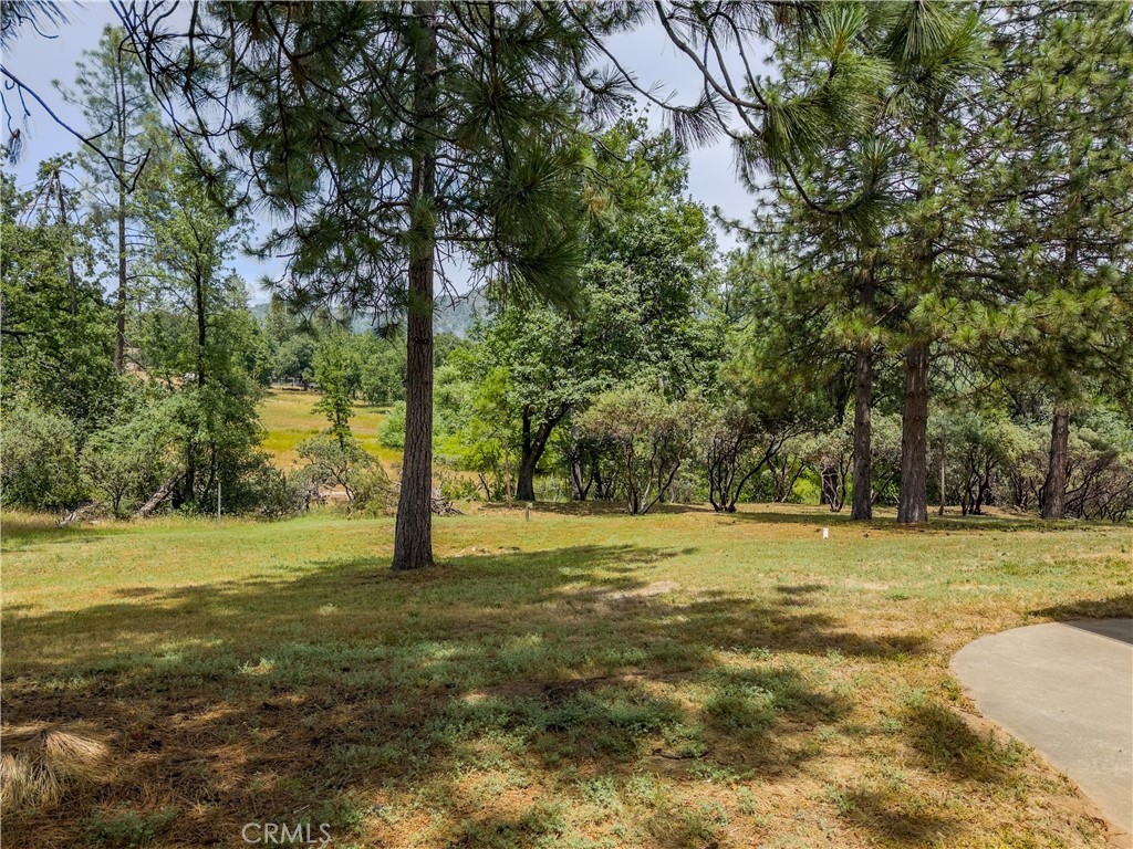 5800 Lehamite Fall Rd, Mariposa, CA 95338