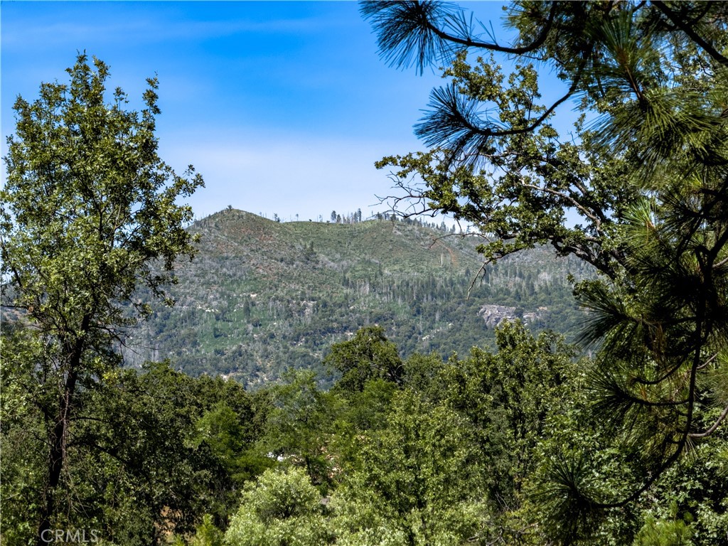 5800 Lehamite Fall Rd, Mariposa, CA 95338