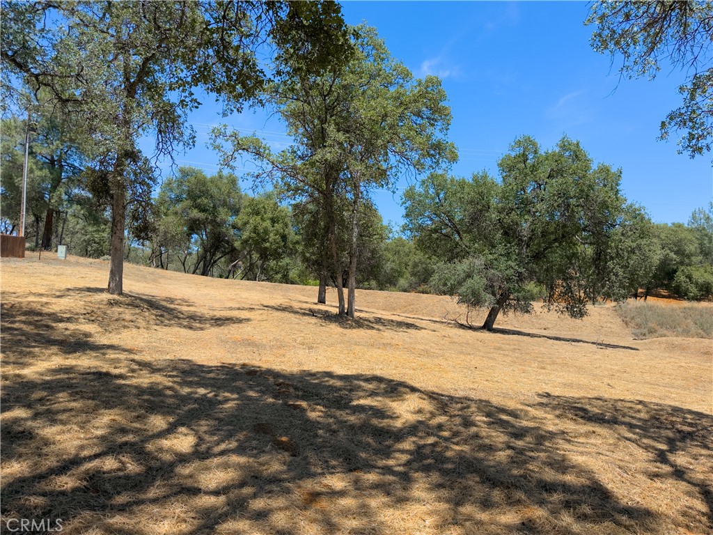1 Spriggs, Mariposa, CA 95338