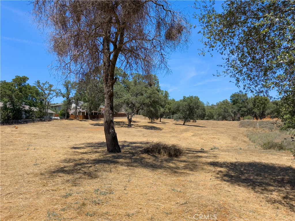 1 Spriggs, Mariposa, CA 95338