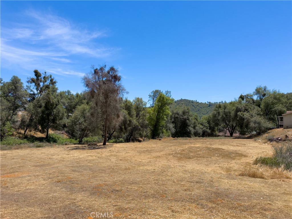 1 Spriggs, Mariposa, CA 95338