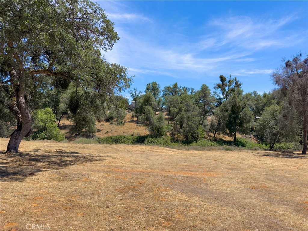 1 Spriggs, Mariposa, CA 95338