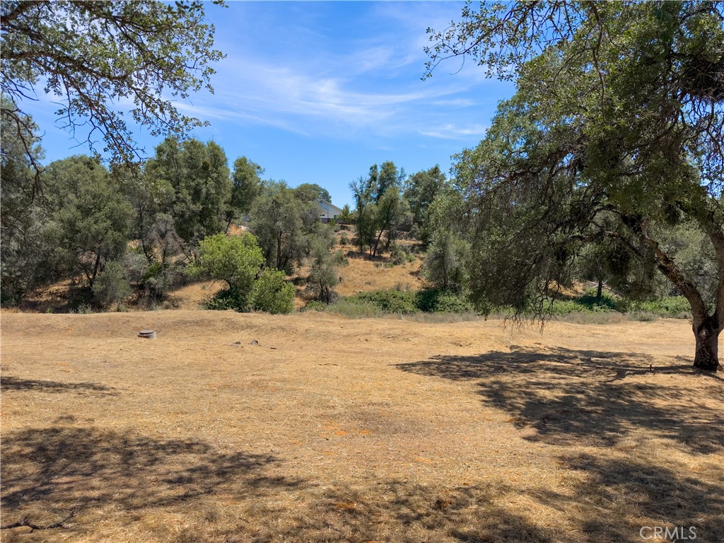 1 Spriggs, Mariposa, CA 95338