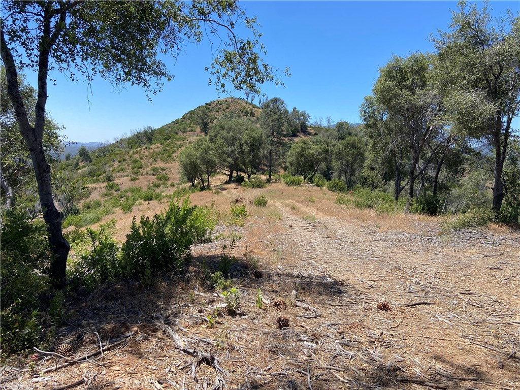 0 Bumguardner Mtn. Road, Mariposa, CA 95338