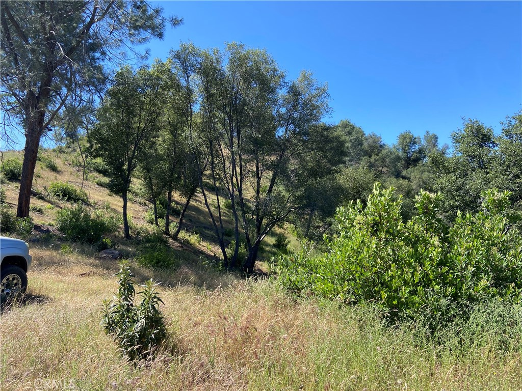0 Bumguardner Mtn. Road, Mariposa, CA 95338