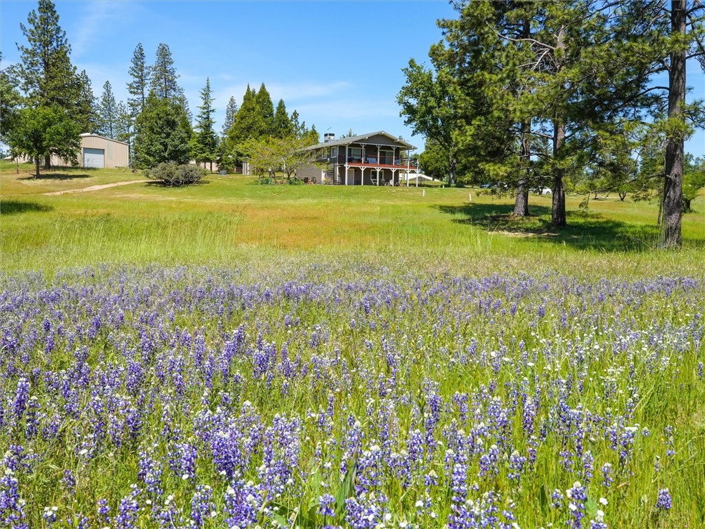3137 Triangle, Mariposa, CA 95338