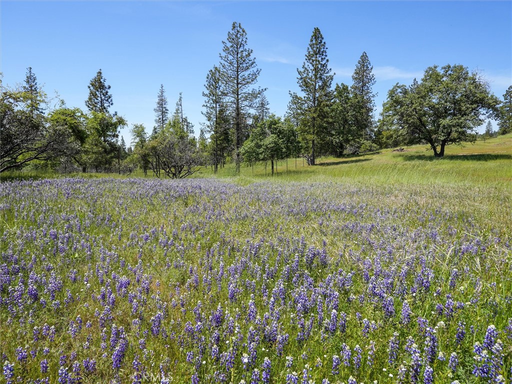 3137 Triangle, Mariposa, CA 95338