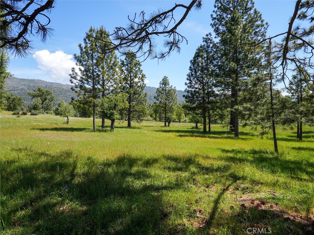 3137 Triangle, Mariposa, CA 95338