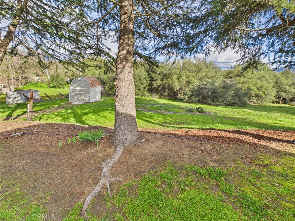 42177 Lone Olive, Ahwahnee, CA 93601