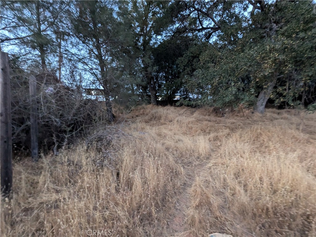 0 Joe Howard Street, Mariposa, CA 95338