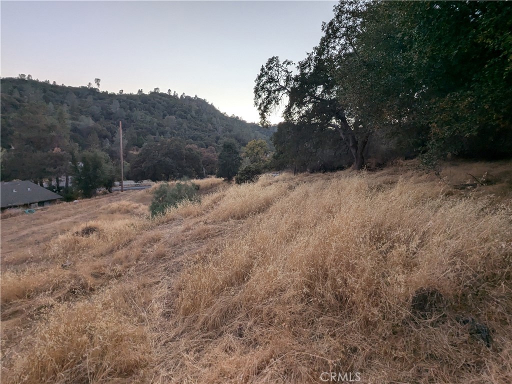0 Joe Howard Street, Mariposa, CA 95338