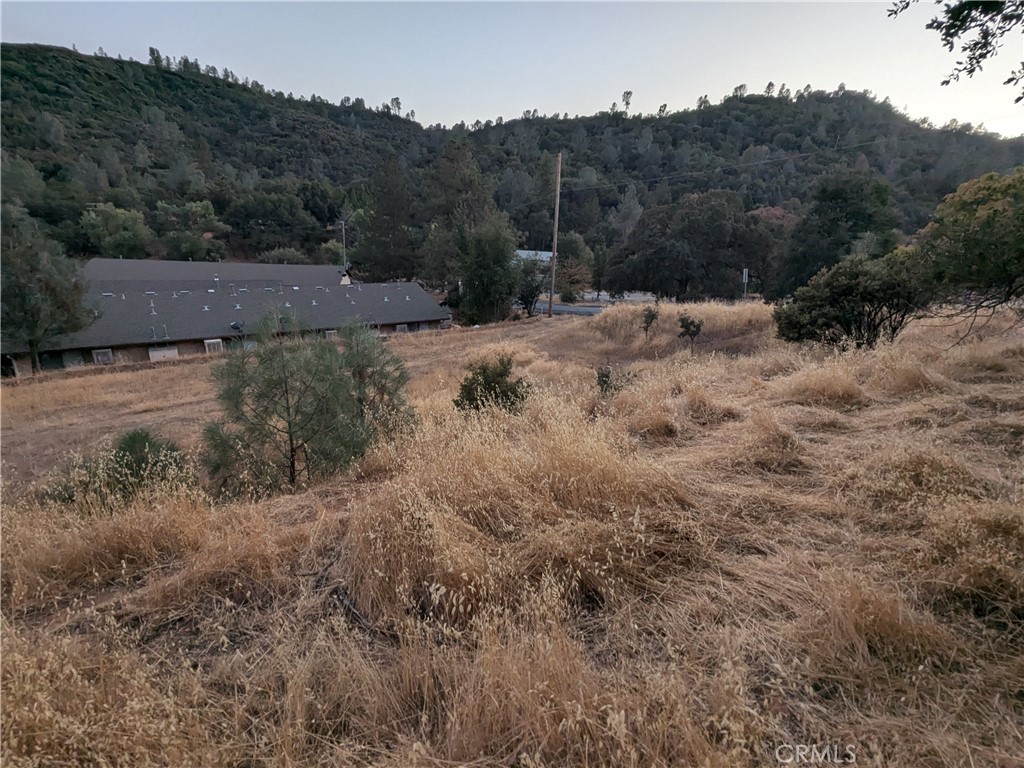 0 Joe Howard Street, Mariposa, CA 95338