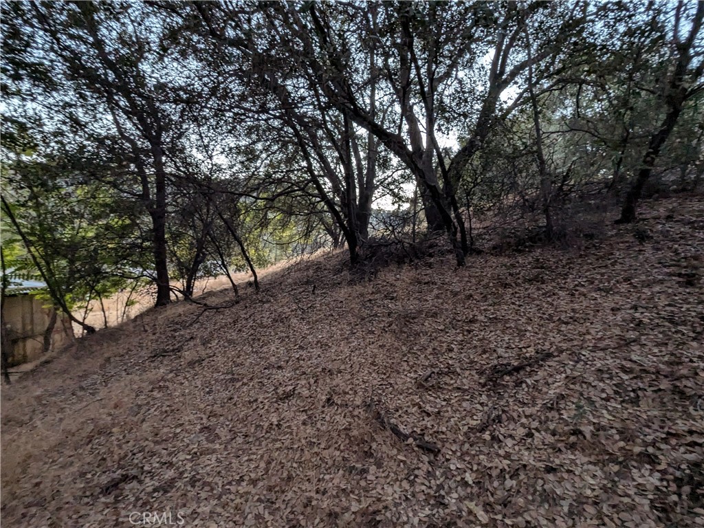 0 Joe Howard Street, Mariposa, CA 95338
