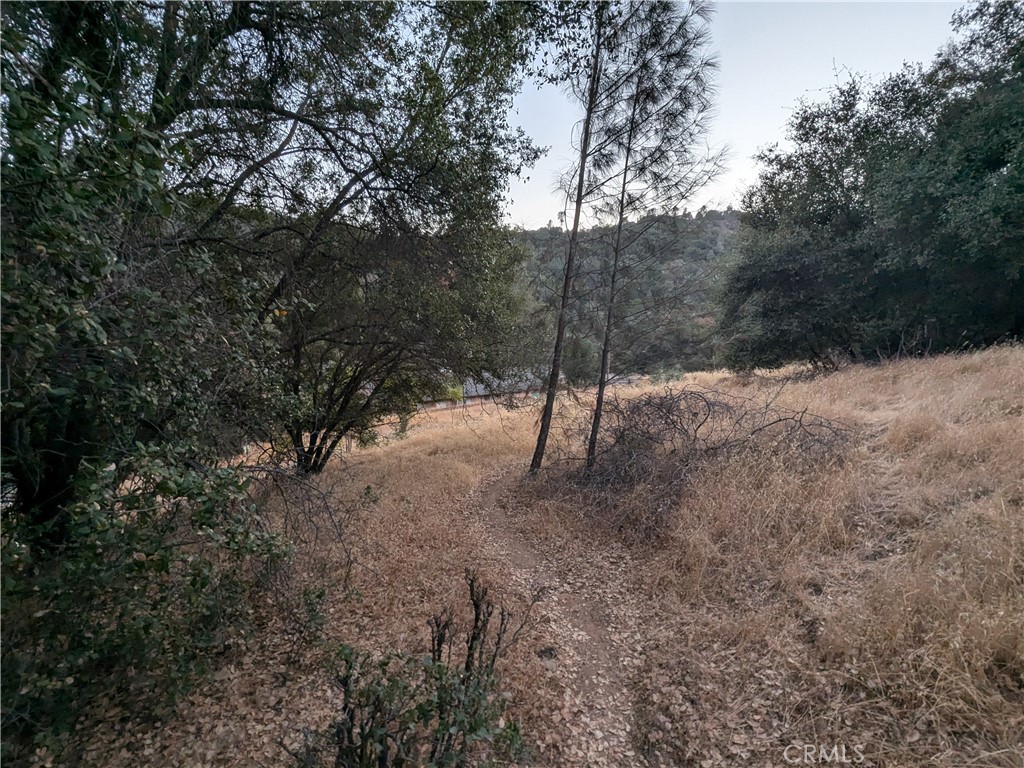 0 Joe Howard Street, Mariposa, CA 95338