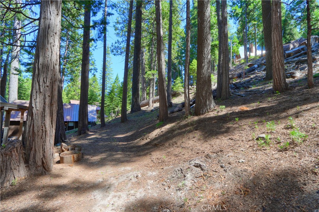 7771 White Chief Mountain, Fish Camp, CA 93623