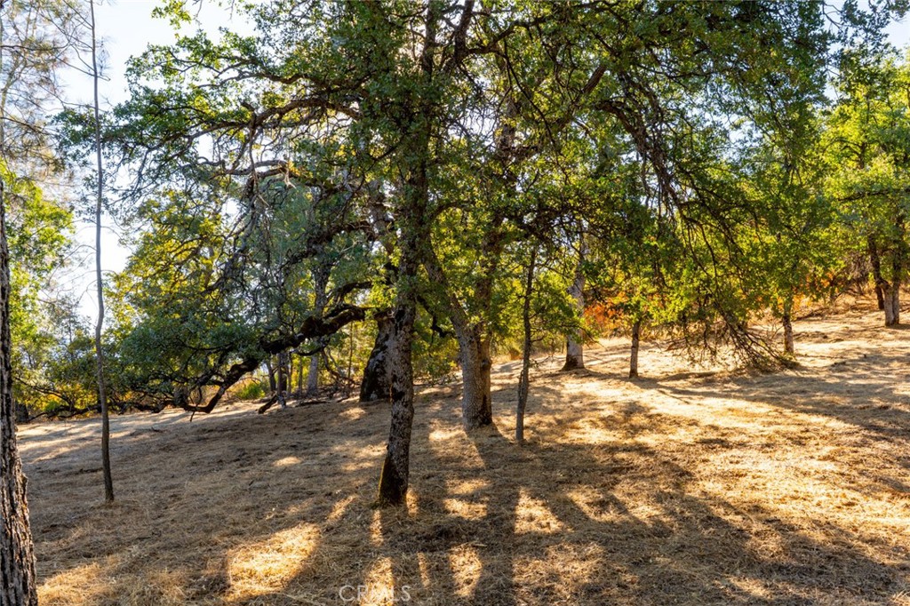6005 Sherlock, Midpines, CA 95345