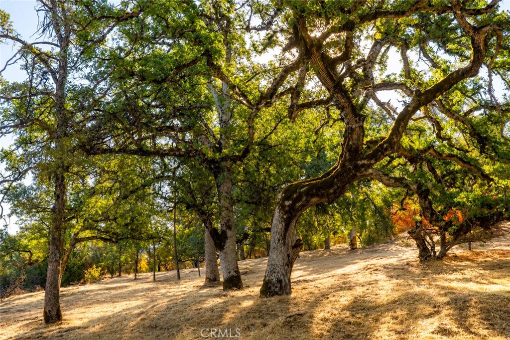 6005 Sherlock, Midpines, CA 95345
