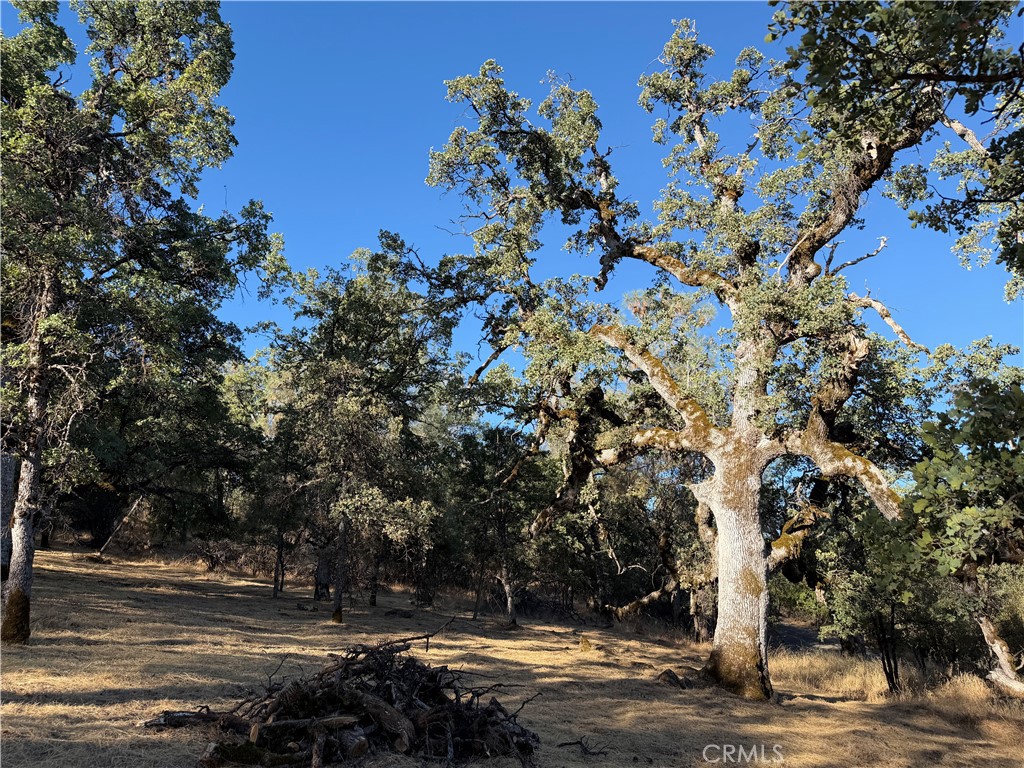 6005 Sherlock, Midpines, CA 95345