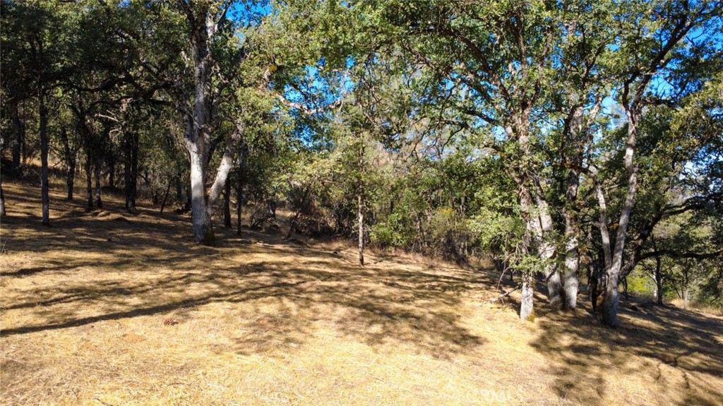 6005 Sherlock, Midpines, CA 95345