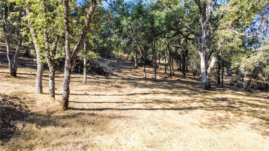 6005 Sherlock, Midpines, CA 95345
