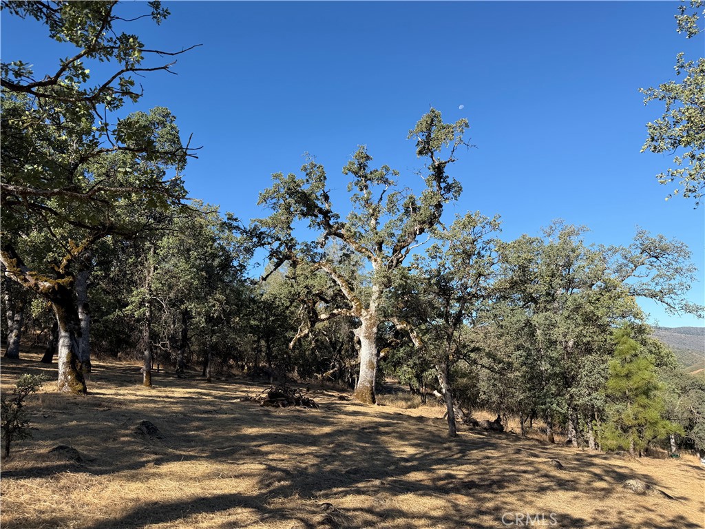 6005 Sherlock, Midpines, CA 95345