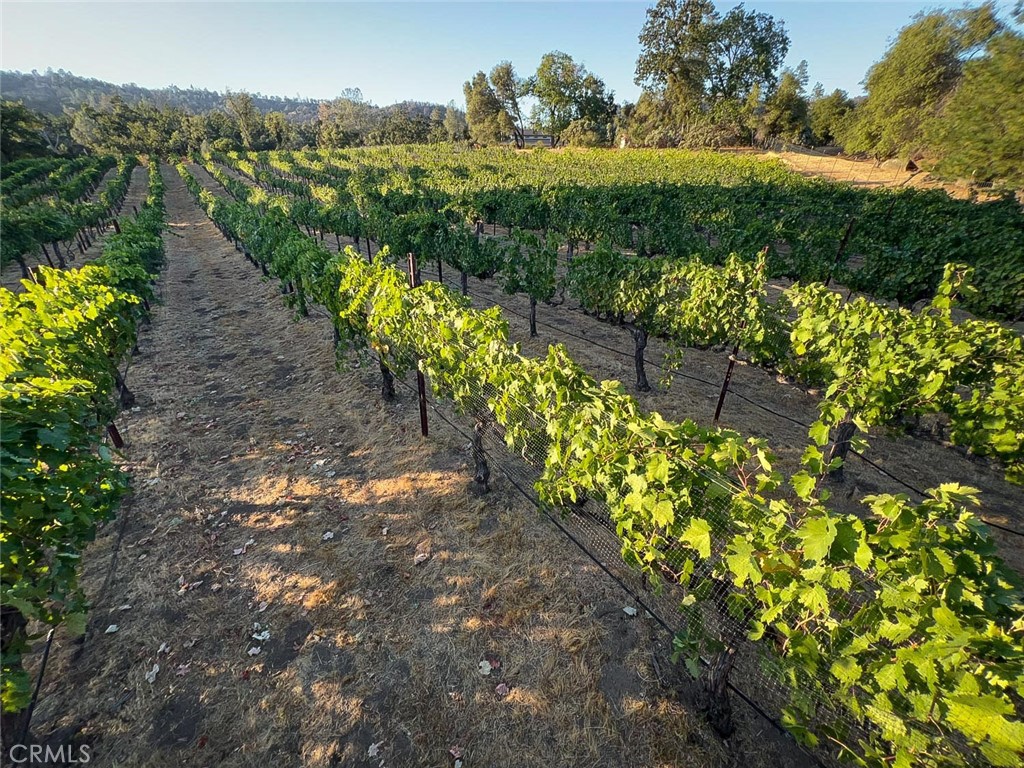 4683 Morningstar, Mariposa, CA 95338