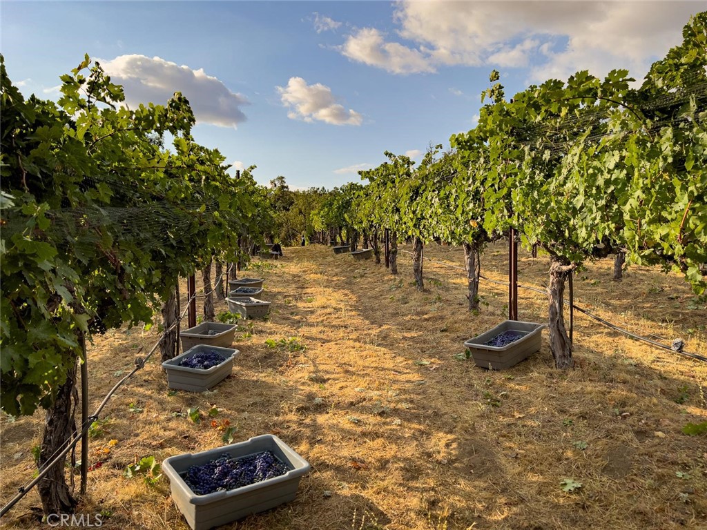4683 Morningstar, Mariposa, CA 95338