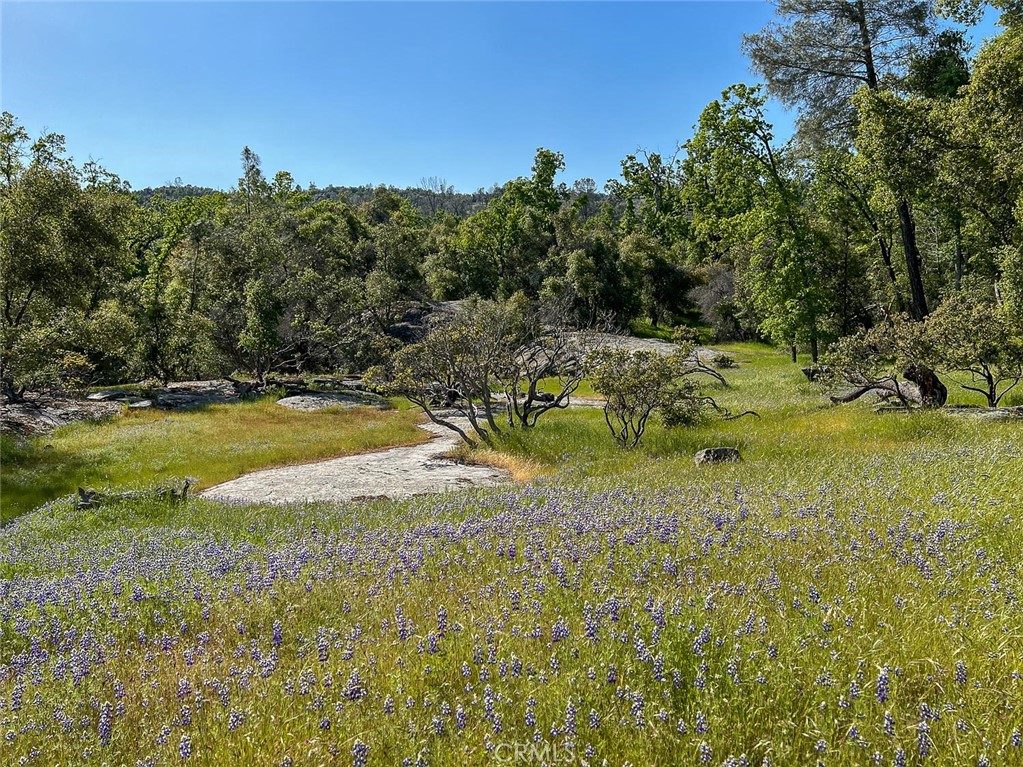 4683 Morningstar, Mariposa, CA 95338