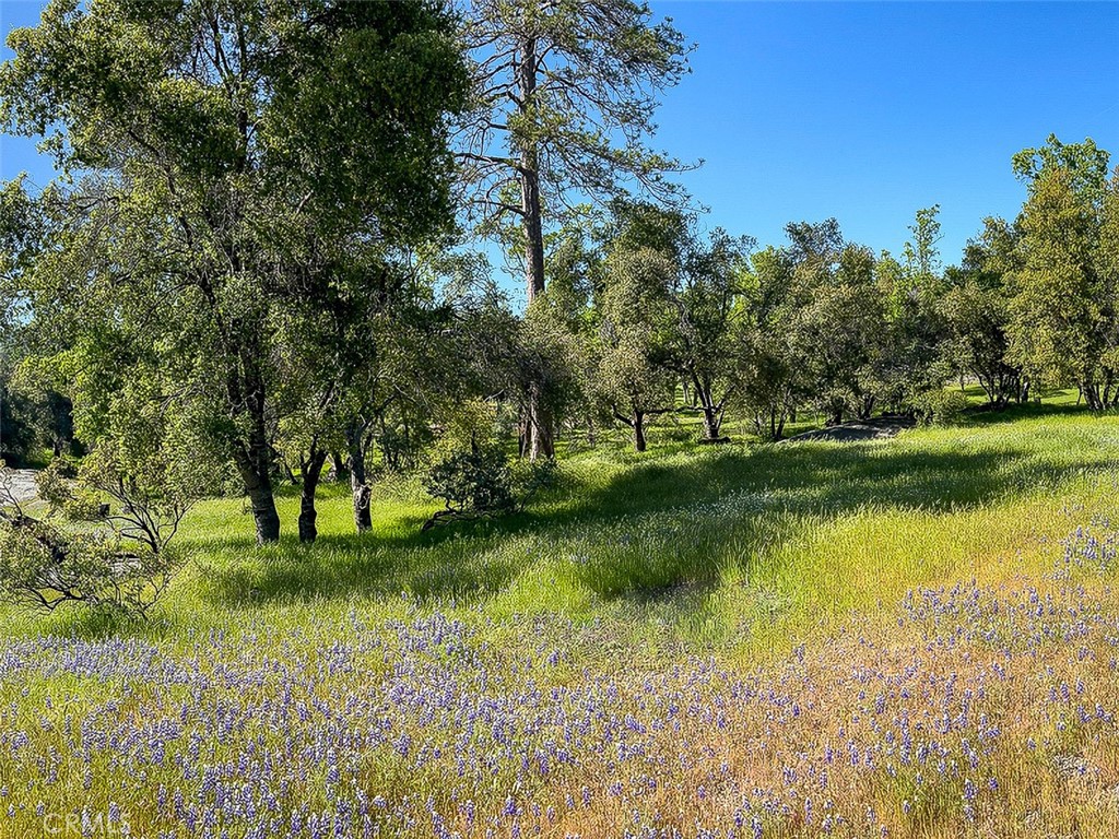 4683 Morningstar, Mariposa, CA 95338