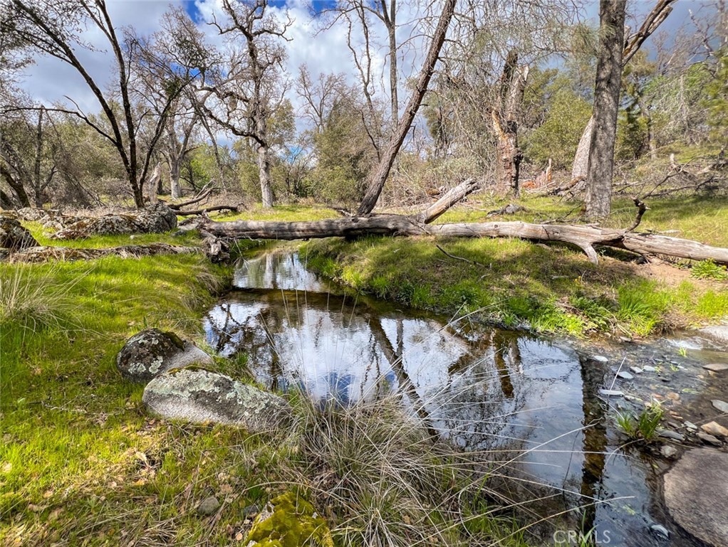 4683 Morningstar, Mariposa, CA 95338