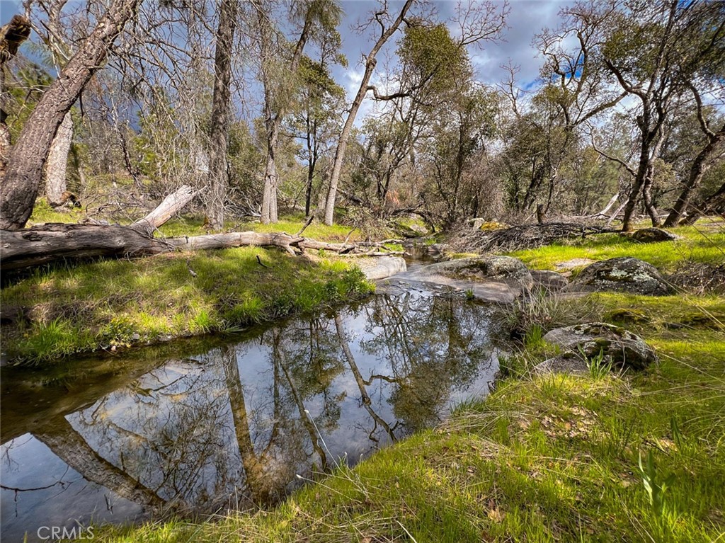 4683 Morningstar, Mariposa, CA 95338