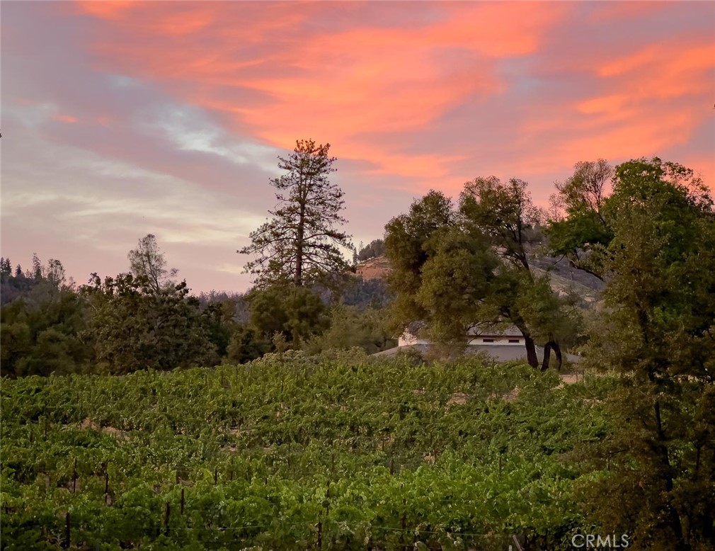 4683 Morningstar, Mariposa, CA 95338