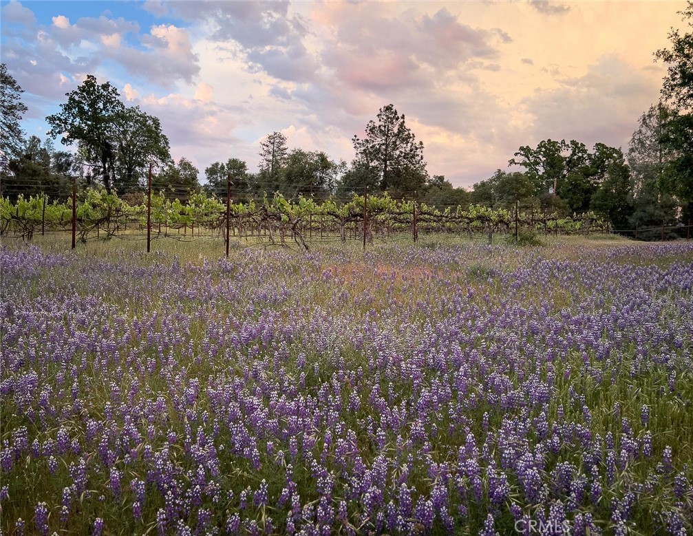 4683 Morningstar, Mariposa, CA 95338