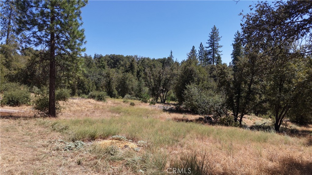 4965 Moss Creek Ln, Mariposa, CA 95338