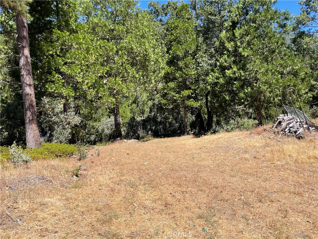 6122 Chowchilla Mountain, Mariposa, CA 95338