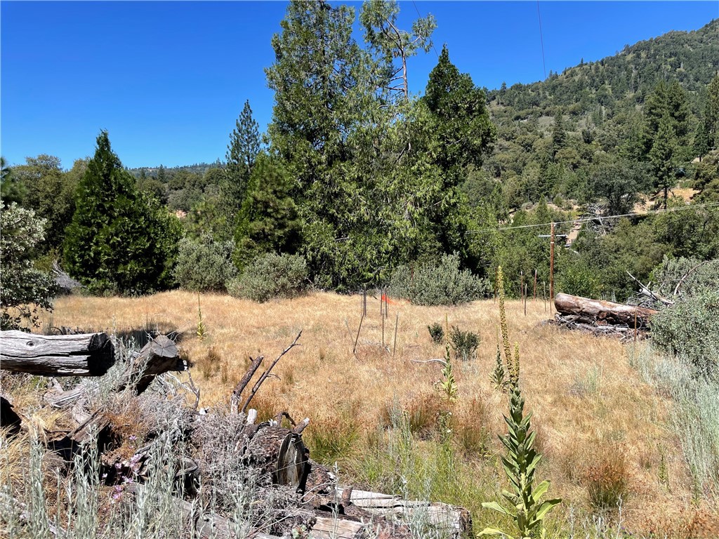 6122 Chowchilla Mountain, Mariposa, CA 95338