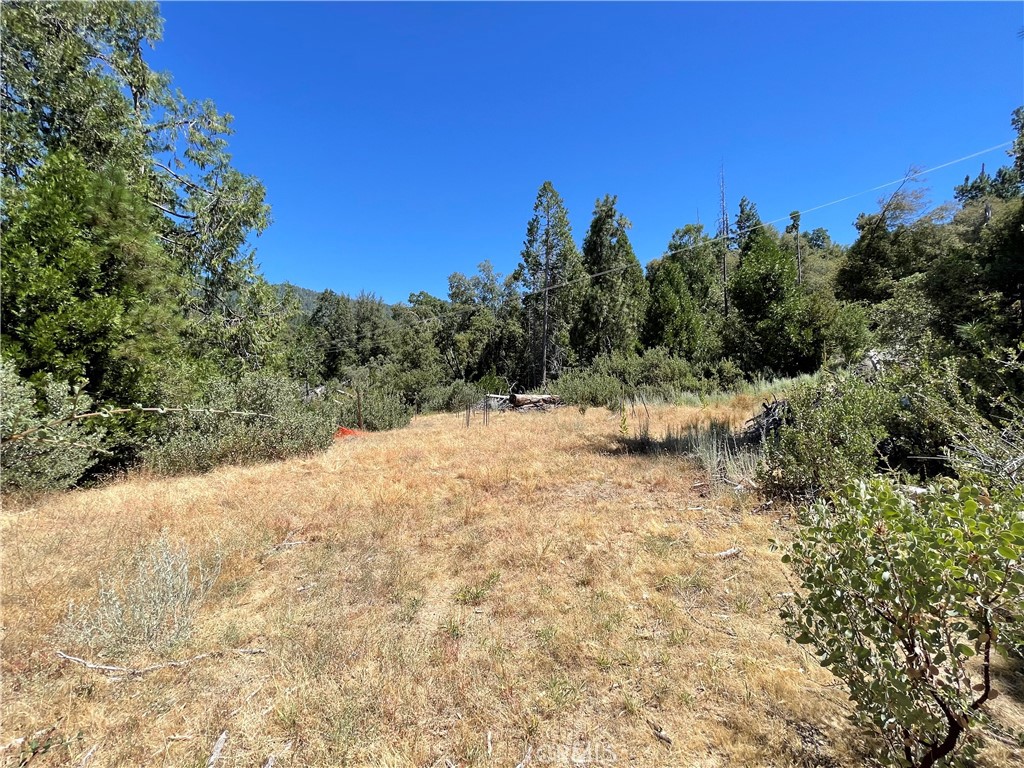 6122 Chowchilla Mountain, Mariposa, CA 95338