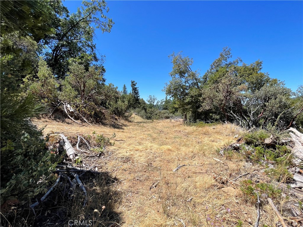 6122 Chowchilla Mountain, Mariposa, CA 95338