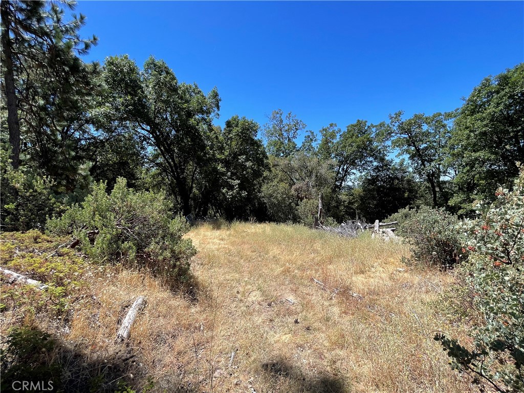 6122 Chowchilla Mountain, Mariposa, CA 95338