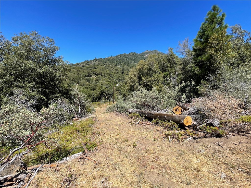 6122 Chowchilla Mountain, Mariposa, CA 95338