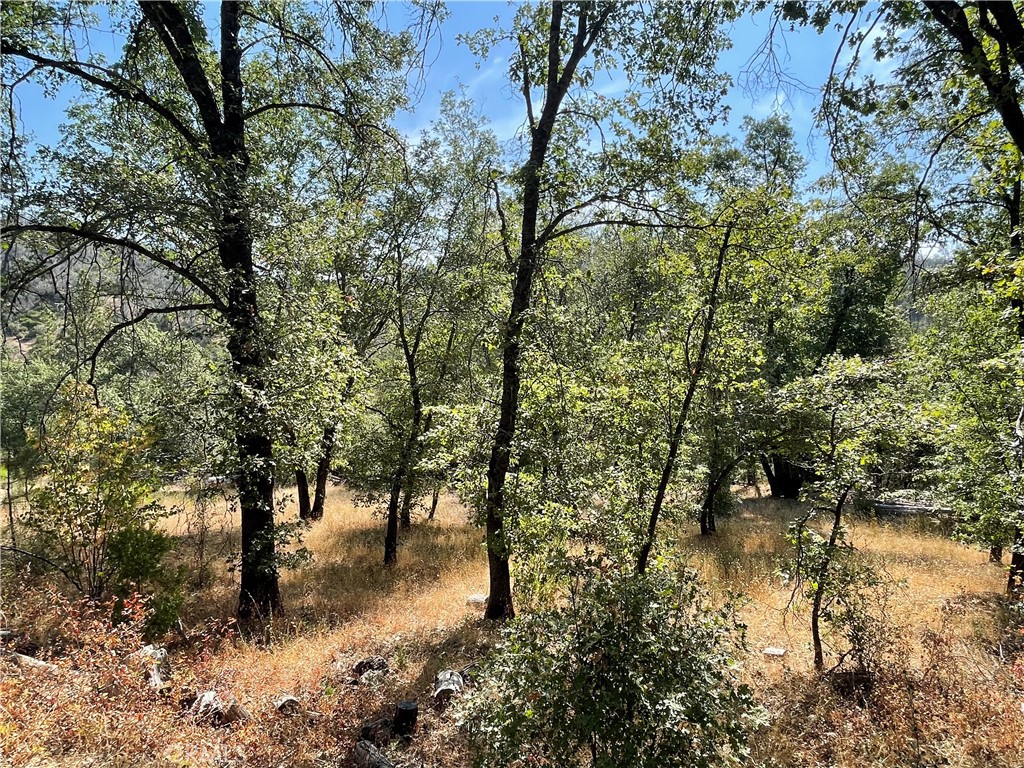 6246 Highway 140, Midpines, CA 95345