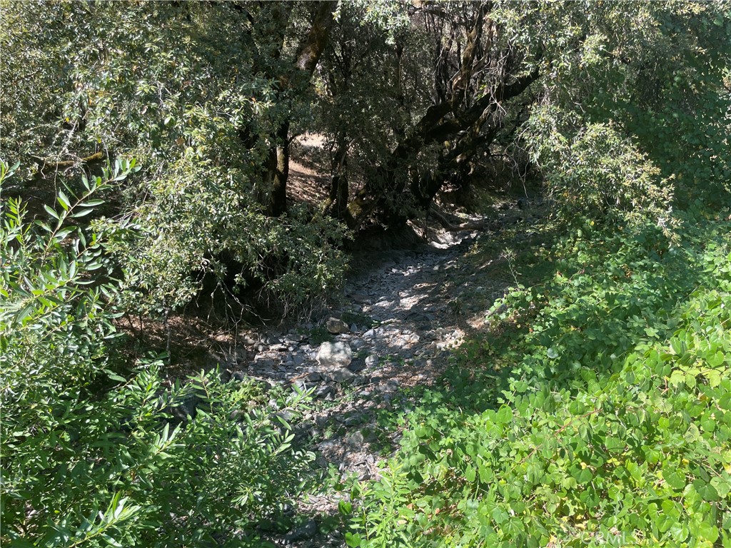 6246 Highway 140, Midpines, CA 95345