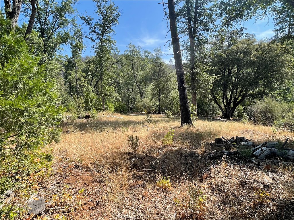 6246 Highway 140, Midpines, CA 95345