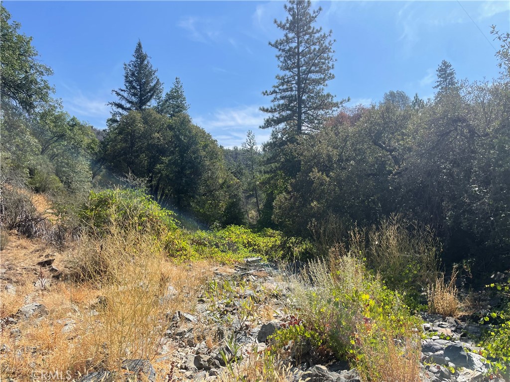6246 Highway 140, Midpines, CA 95345