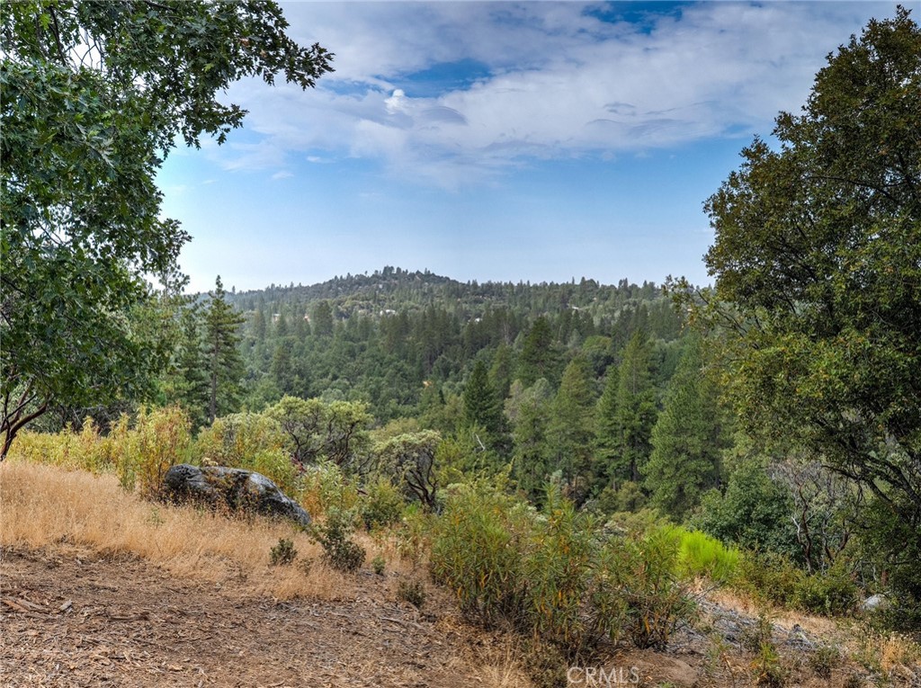 1539001 Vista Lago, Mariposa, CA 95338